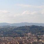The view