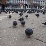 They are coming for us!
