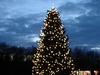 Berlins Christmas lights were fantastic
