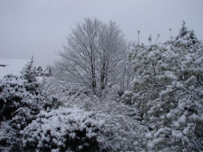 Our view from our bedroom window - just awesome!