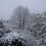 Our view from our bedroom window - just awesome!