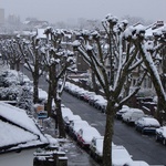 Our street from the lounge window
