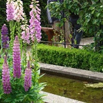 Buckfast Abbey gardens were a delight - until we were dodging rain drops the size of marbles.