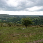 Rolling hills as far as they eyes could see