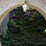 An opening into the ruin shows off the new inhabitants