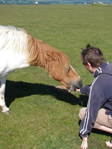He tried to chomp my hand off!