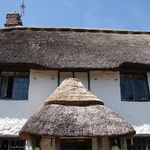 Cottie - the mono-browed, mustache fronted cottage