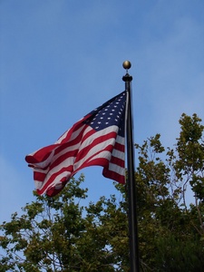 The flag which was everywhere