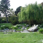 Japanese garden