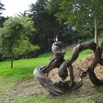An up tight tree?