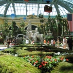 Funky shooting fountains inside the Bellagio