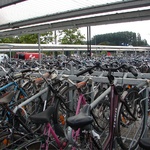 Millions of bikes parked at the train station.