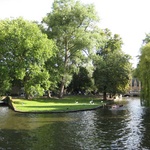Pretty greenery around the canals.