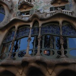 Organic nature inspired windows