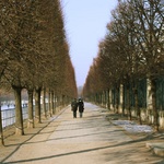 Long walks in the gardens by the Louvre
