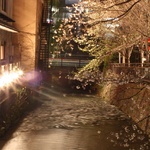 Stunning night in Blossoms