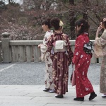 Traditional dress for the temple