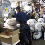 Cutting tuna up into pieces