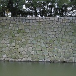 The wall