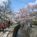 Philosophers path