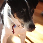 And I shall call her, Dribbles!