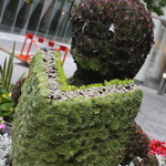 Bookworm made of plants