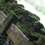 Leaving Windermere
