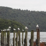 Windermere lake