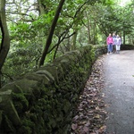 One of the long roads