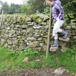 Watch out for that bog
