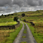 The slight yellow countryside