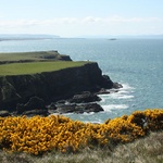 Amazing green cliffs into the waters