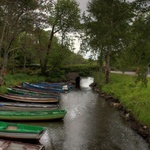 Killarney National Park walk