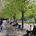 Victoria Park, 2009