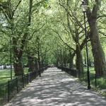 Highbury walkway, 2009