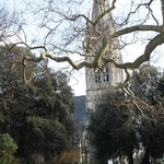 Clissold Park, 2009