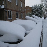 Recycling bins, 2008