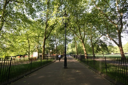 Highbury Fields walkway, 2010