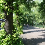 Highbury fields walk to the station, 2010
