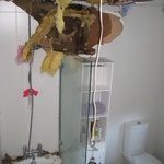 The end result in our bathroom, 2009