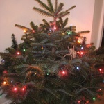Tree with all his lights, 2009