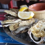 Oysters up close