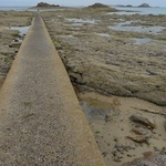 Tom takes a wrong turn to sea!