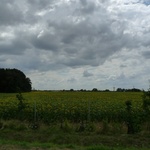 On the road again...