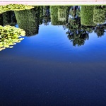 reflection
