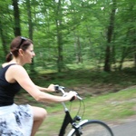 Wheeee through the forest 