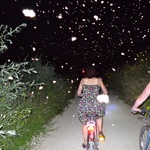 Not stars but bugs ... 