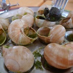 Mmmm. Kind of. Like chewy garlic. From a snail. Odd.