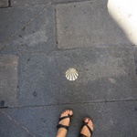Camino de Santiago shell sign