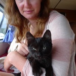Back again for more hugs - I want a cat!